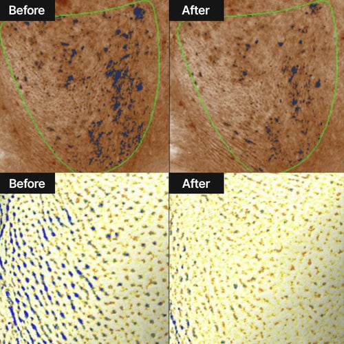 Celimax – Pore + Dark Spot Brightening Cream 50ml