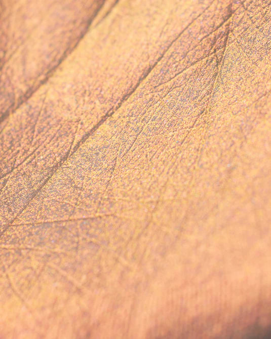 Flower Knows – Midsummer Fairytales Liquid Highlighter (Multichrome)