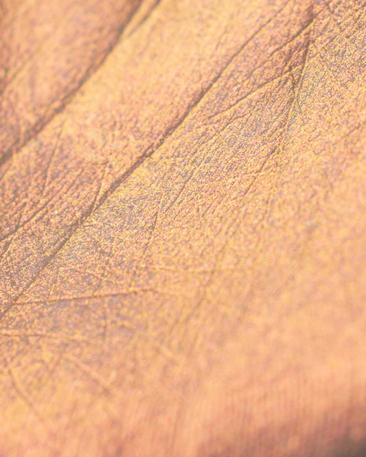 Flower Knows – Midsummer Fairytales Liquid Highlighter (Multichrome)