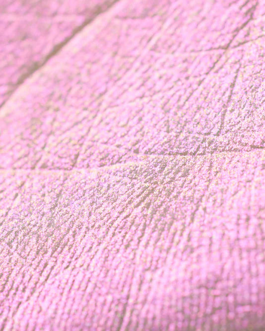 Flower Knows – Midsummer Fairytales Liquid Highlighter (Multichrome)