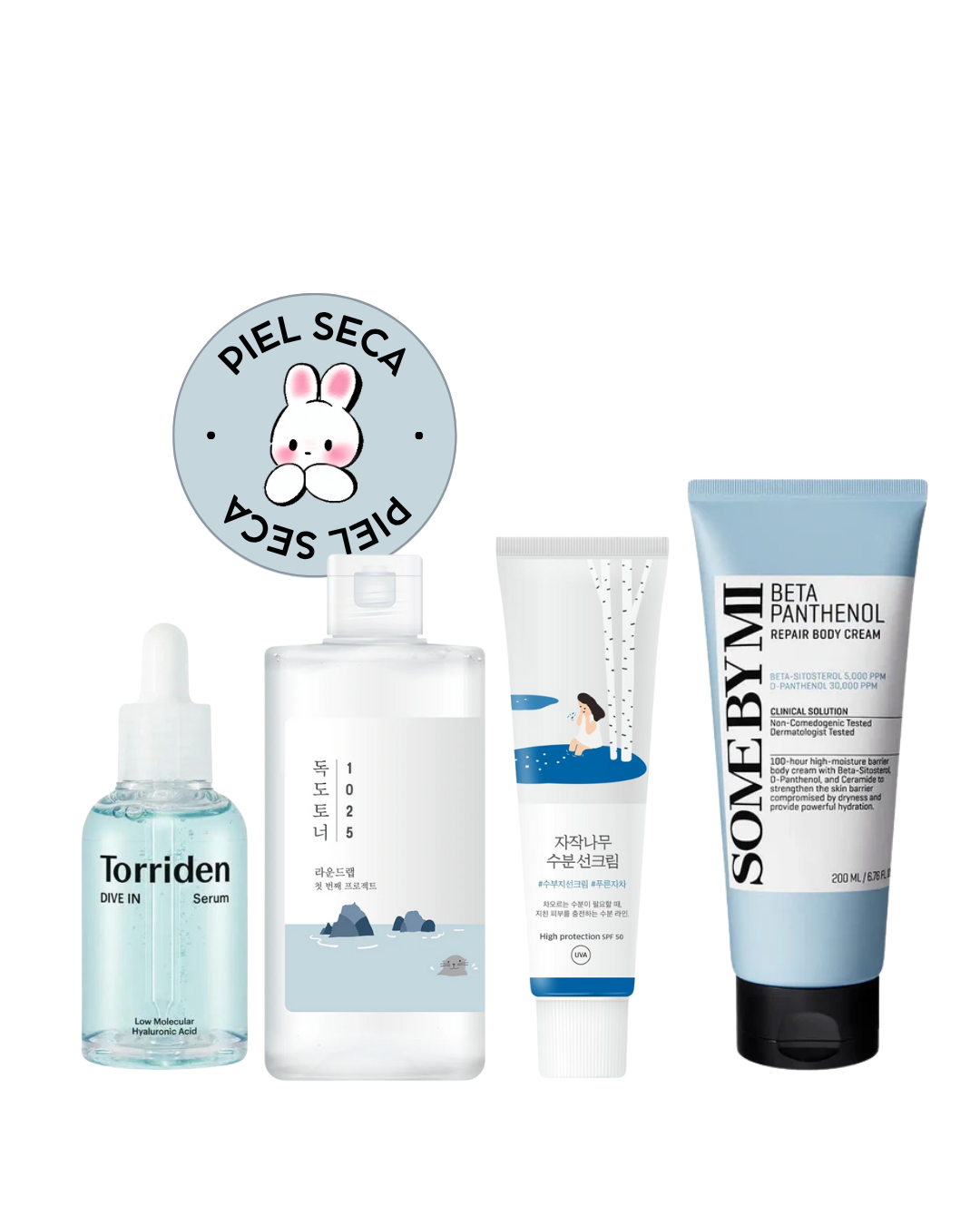 KIT PARA PIEL SECA