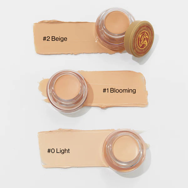 [Skinfood] (Renew) Salmon Darkcircle Concealer (10g)