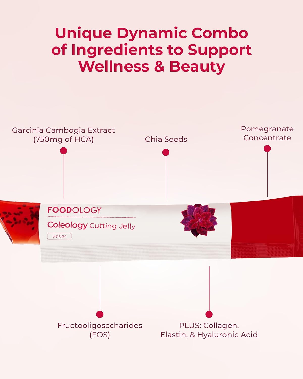 Foodology Coleology Cutting Jelly – 10 sobres